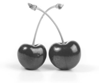 two cherries bw