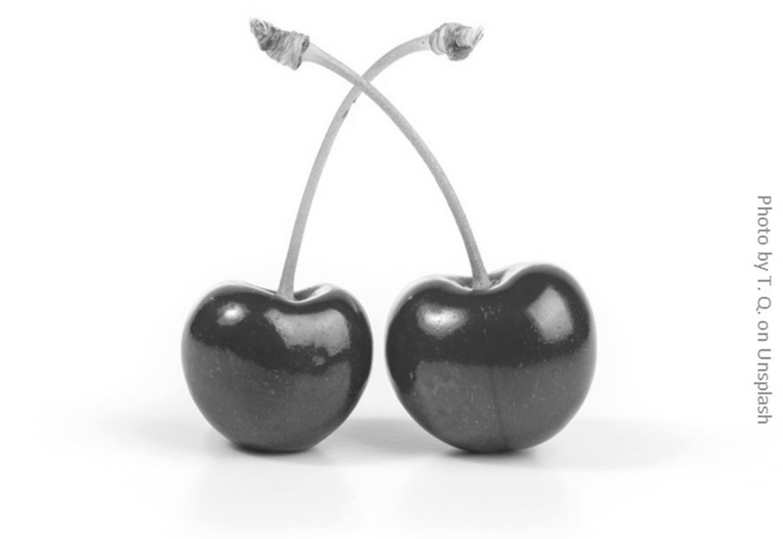 two cherries bw